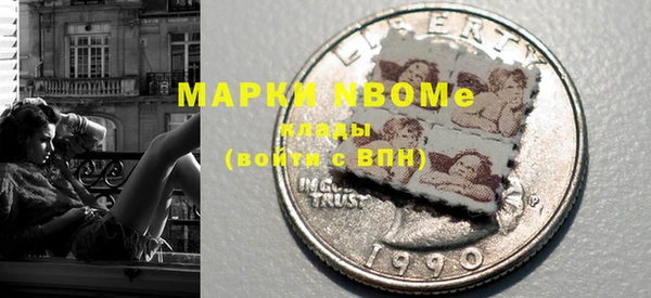 прущие грибы Волоколамск
