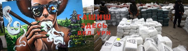 прущие грибы Волоколамск